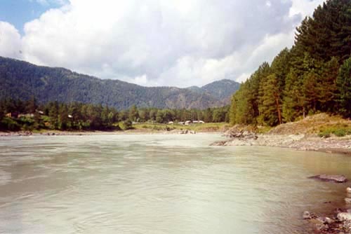 The river Katun