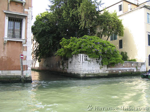 Venezia. Sul Canale Grande