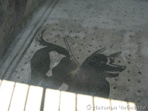 Pompeii. Un mosaico sul pavimento