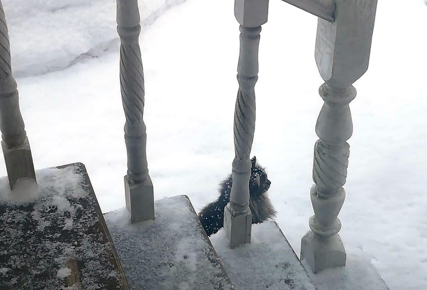 Прогулка зимой