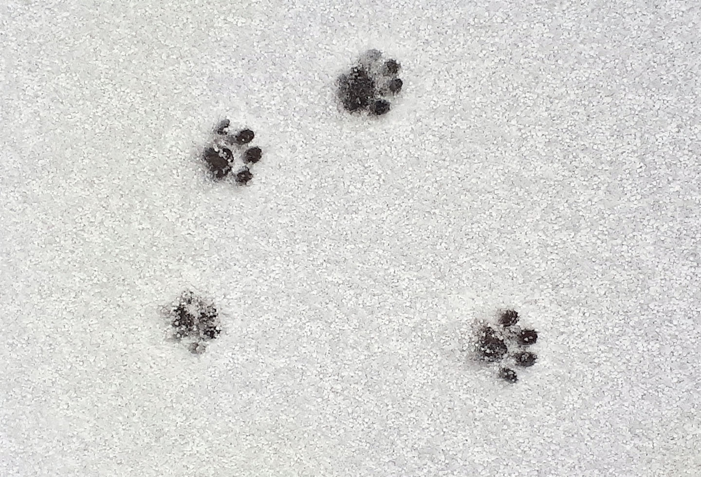 Продолжение следует...