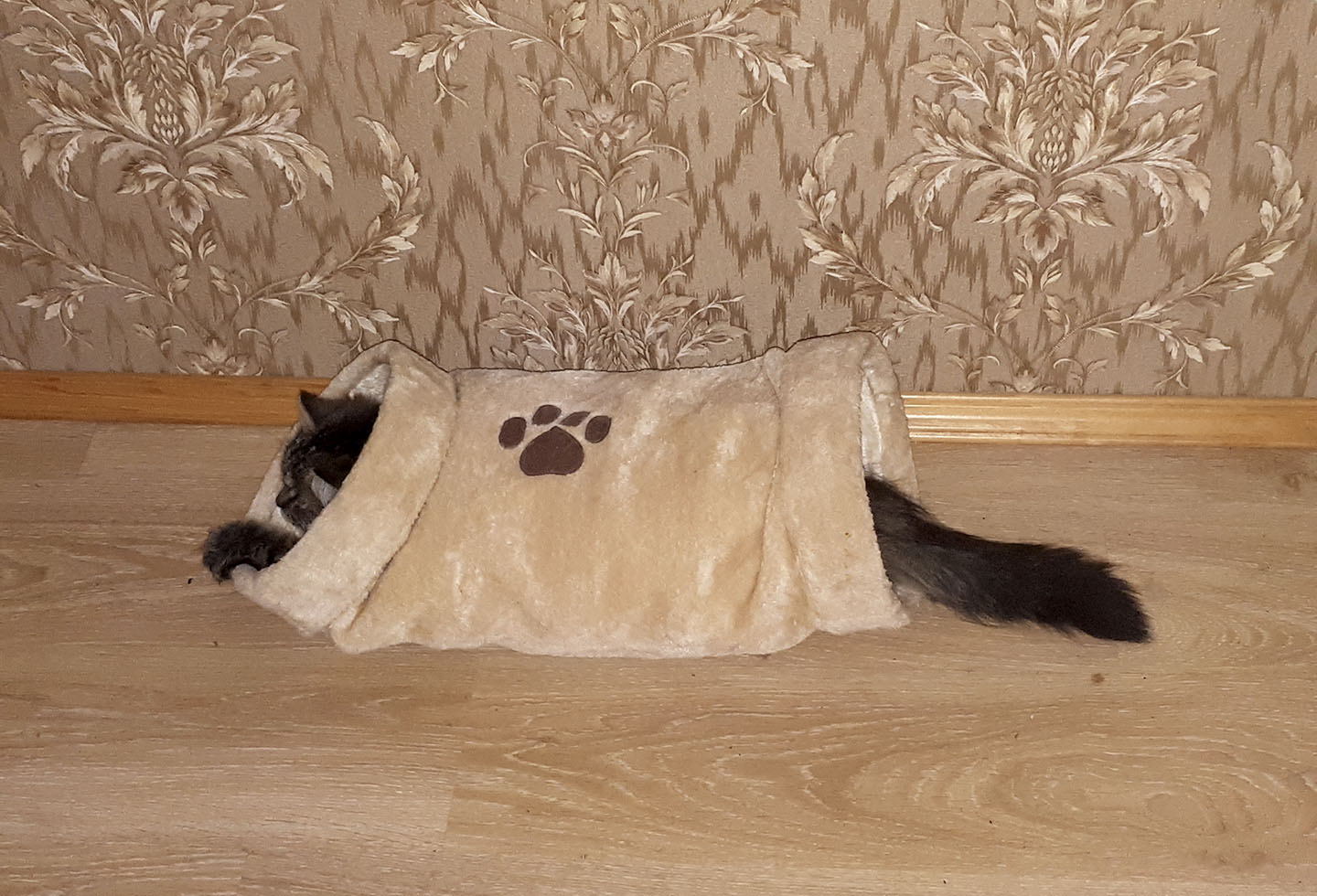 Нос и хвост