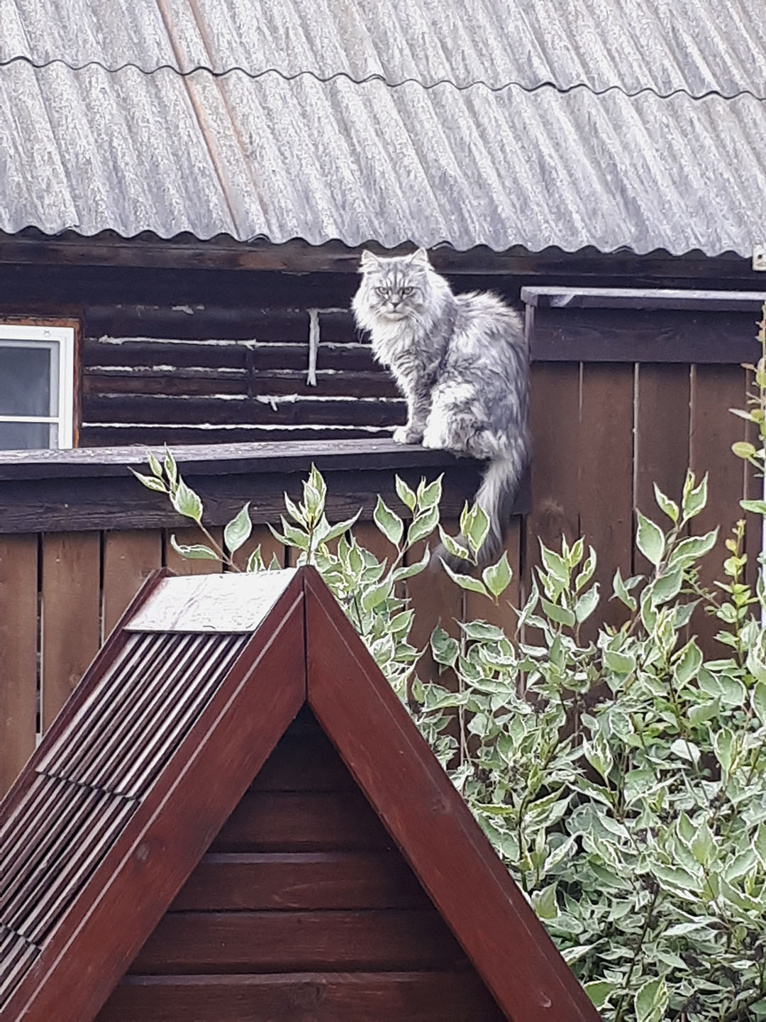 On guard of the frontier
