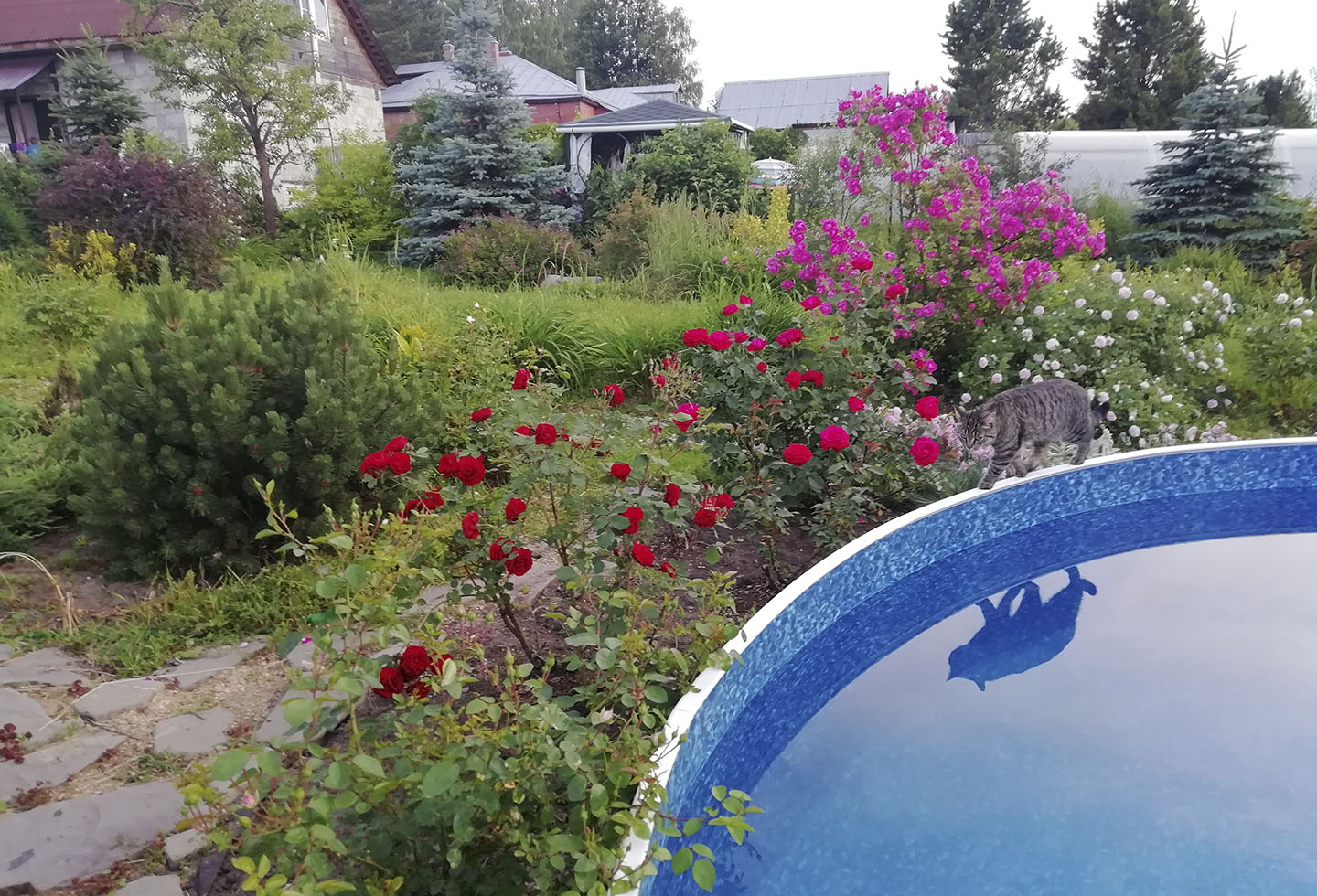 Lifeguard Timosha is on duty