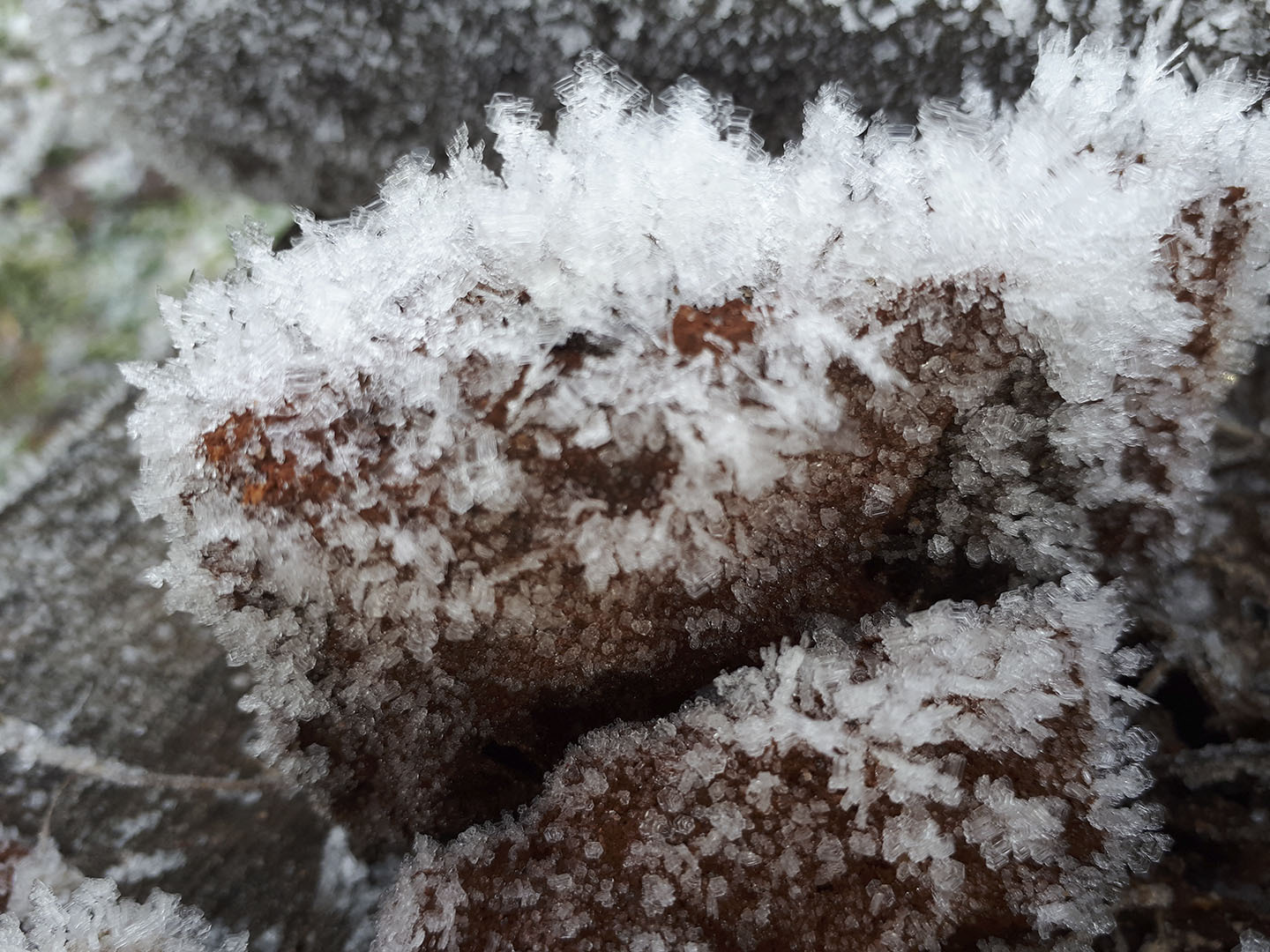 Иней на камнях