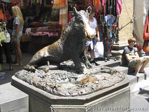 Florence. The fountain