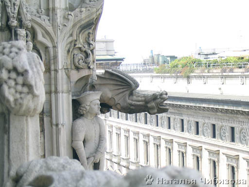 Milano. Sul tetto del Duomo