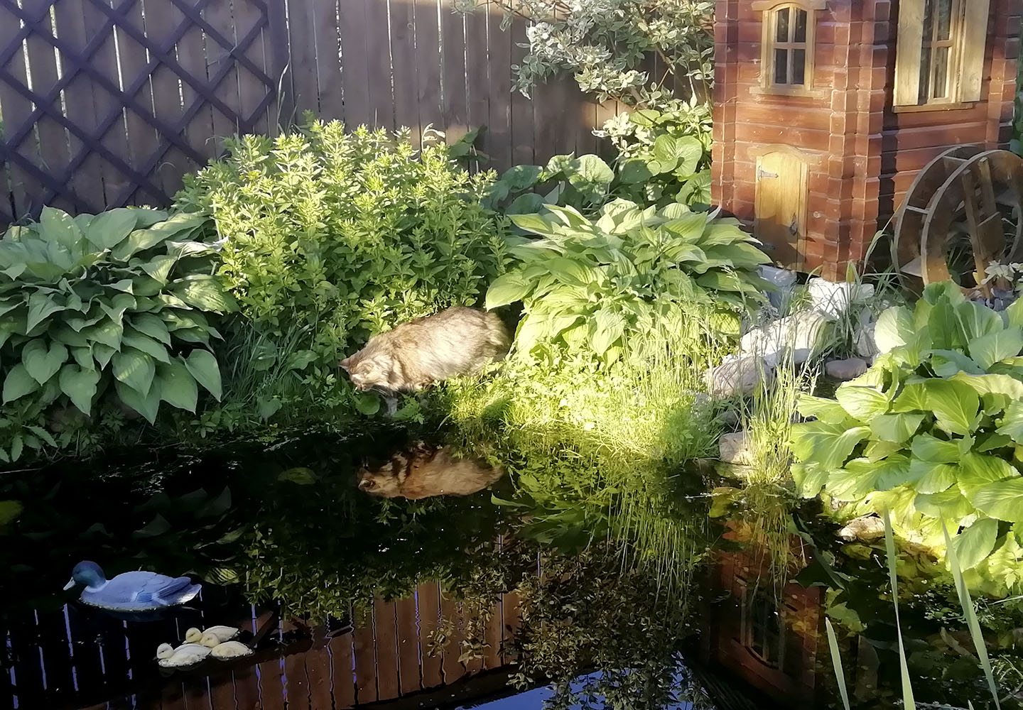 A hunter