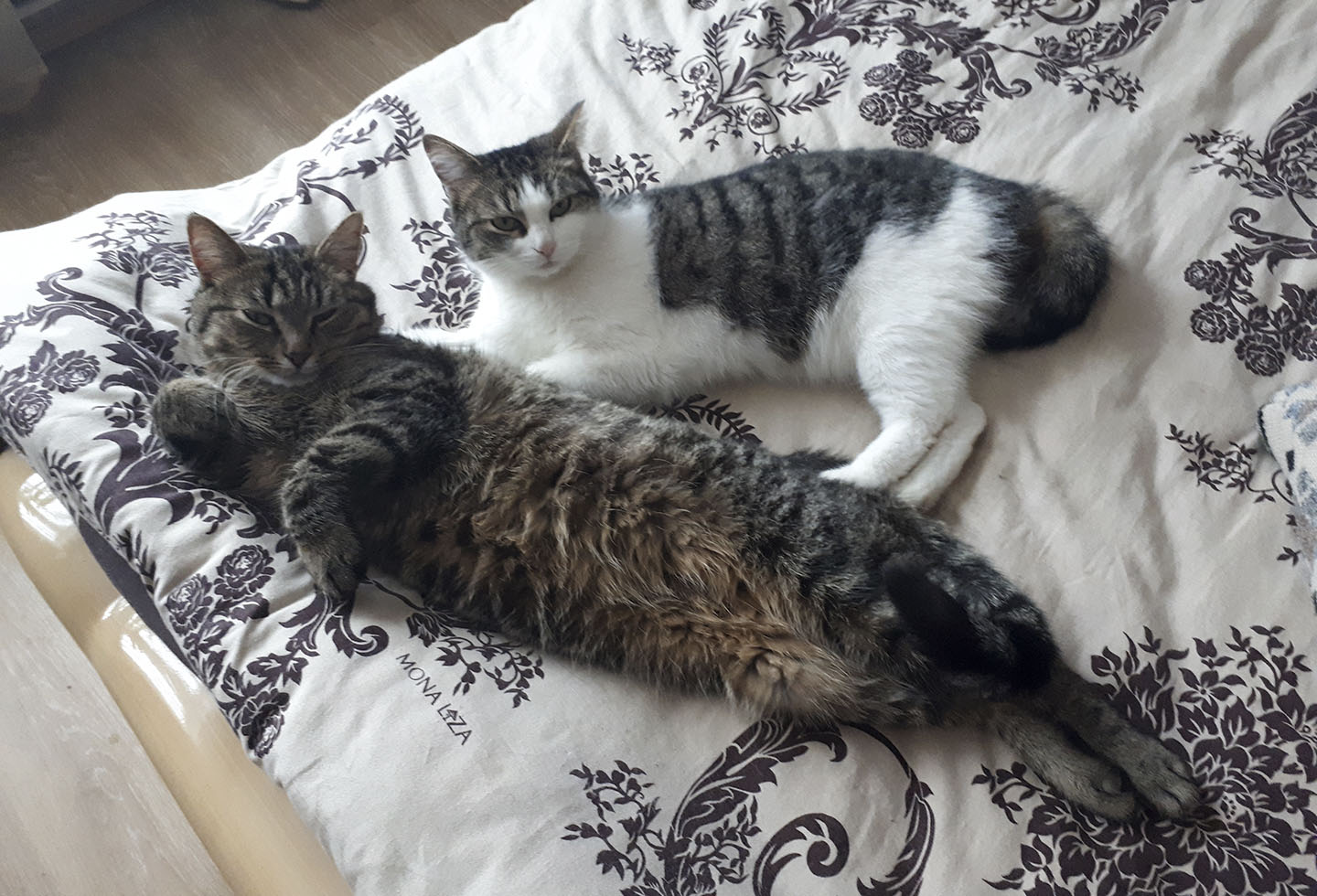 A brother and a sister