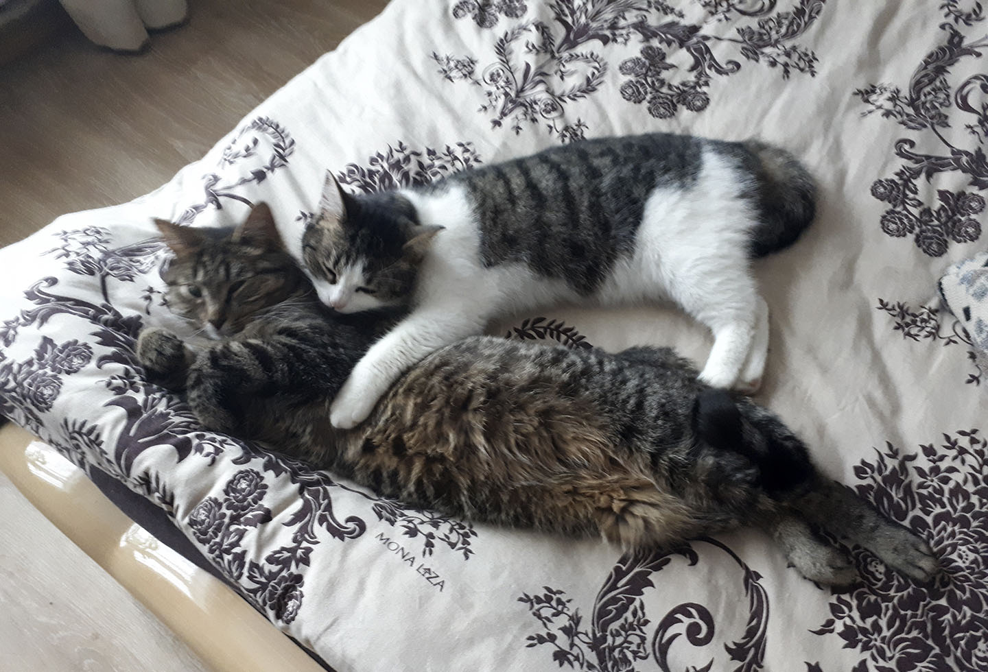 A brother and a sister