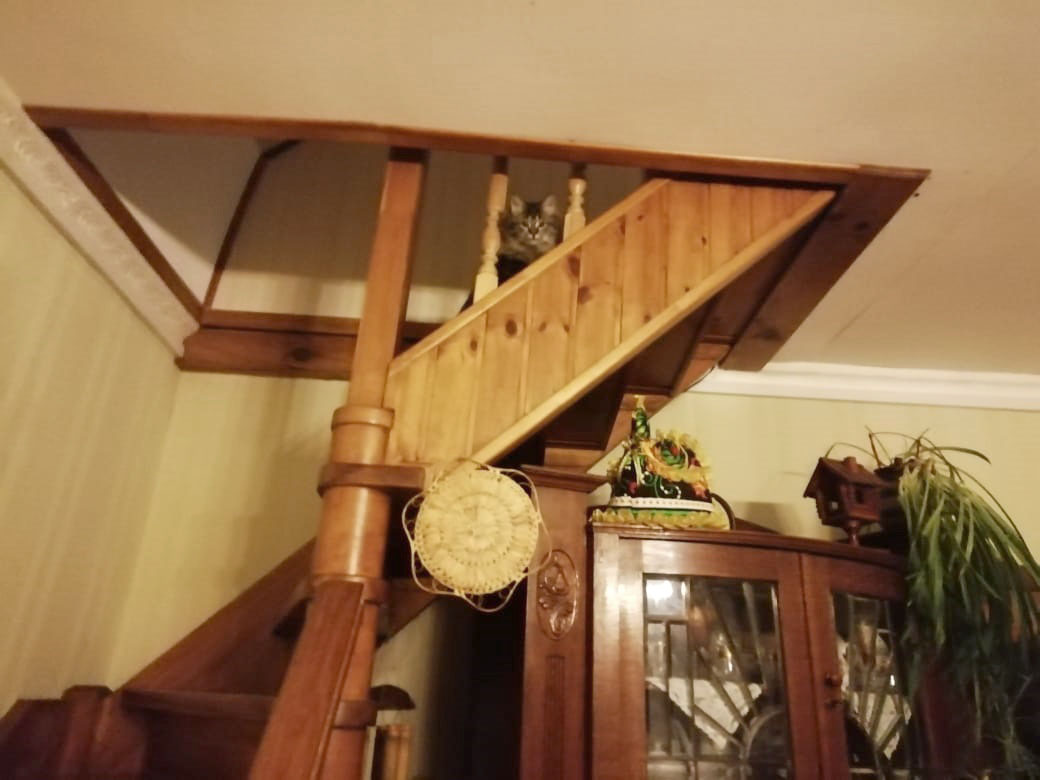 The observation post