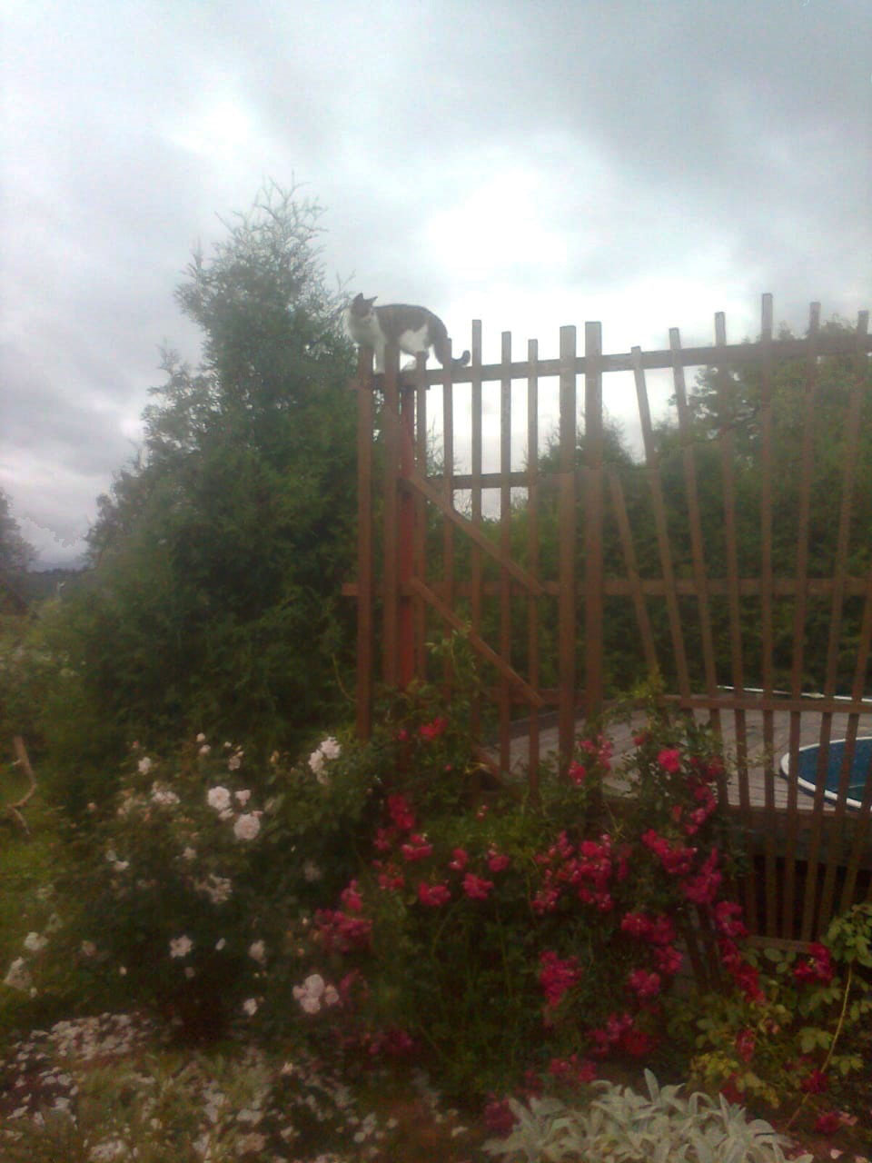 La regina degli equilibri