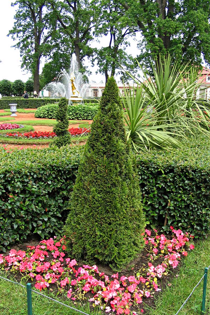 Petergof. Il giardino Monplaisir. La fontana «Covone di frumento»