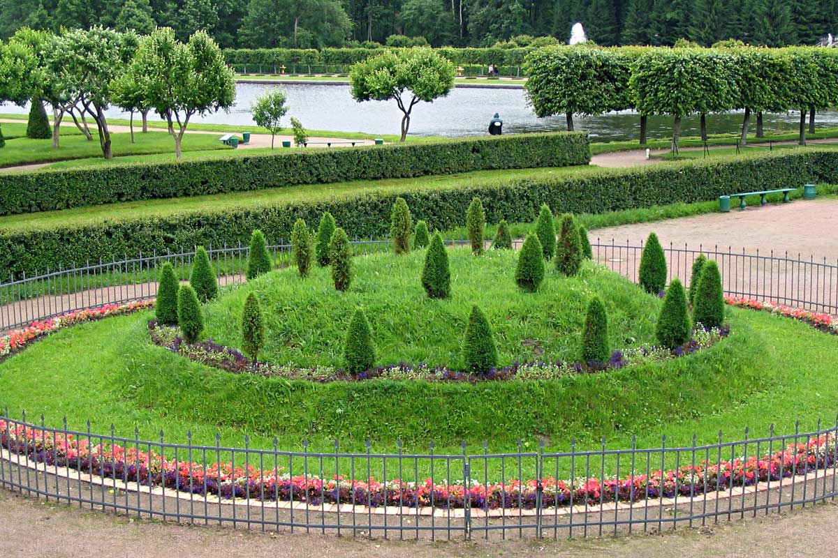 Petergof. The juniper flowerbed